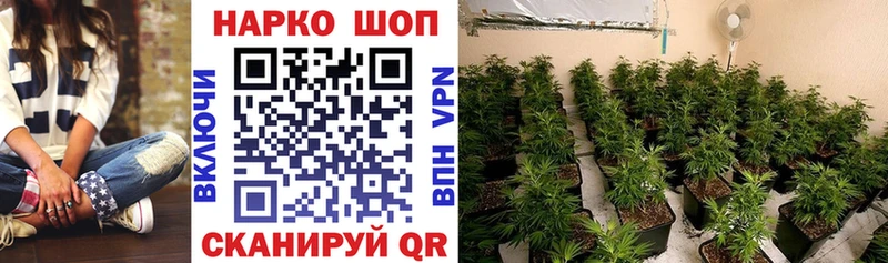 Где можно купить наркотики Кузнецк Марихуана  Кокаин  A PVP  ГАШ 
